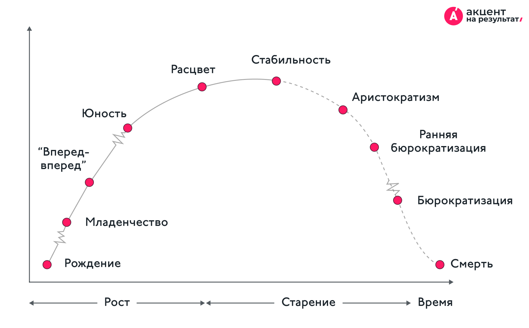 График жизненных циклов компаний